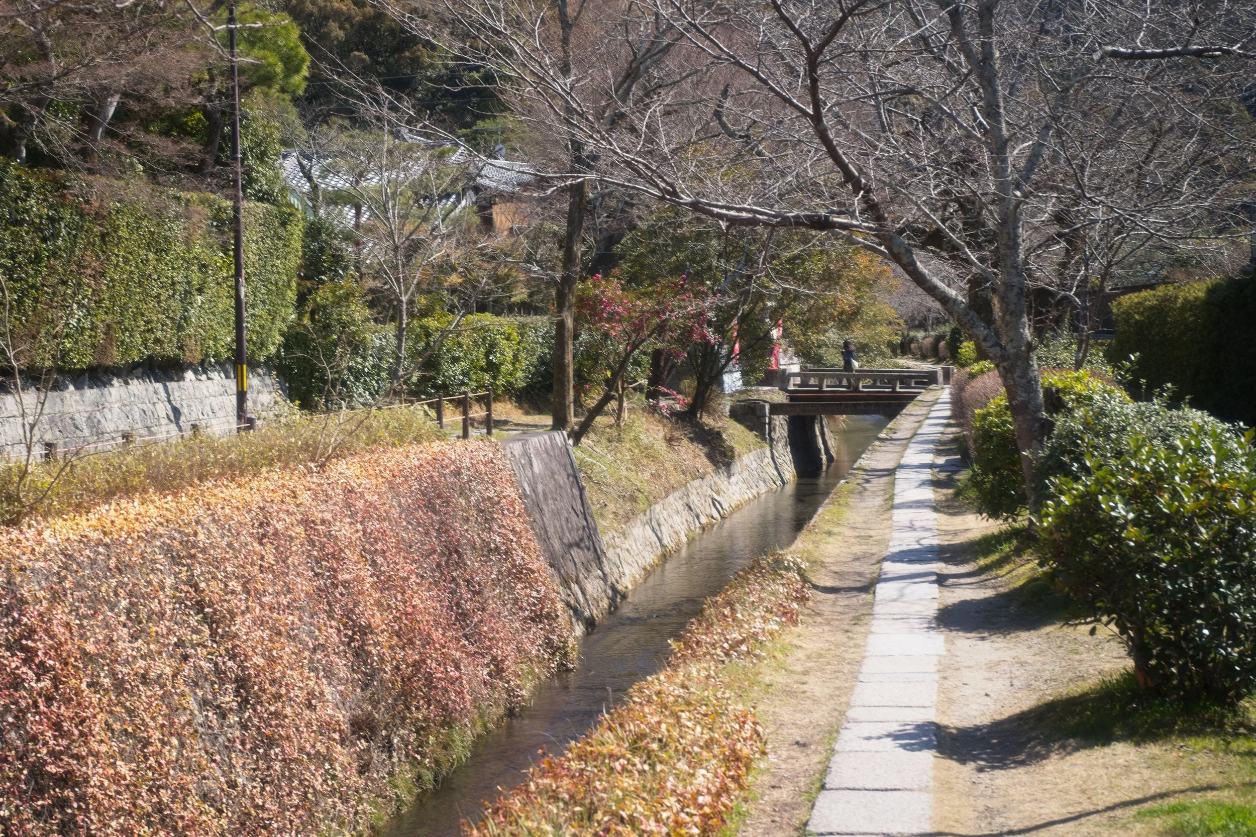 L1006565.jpg