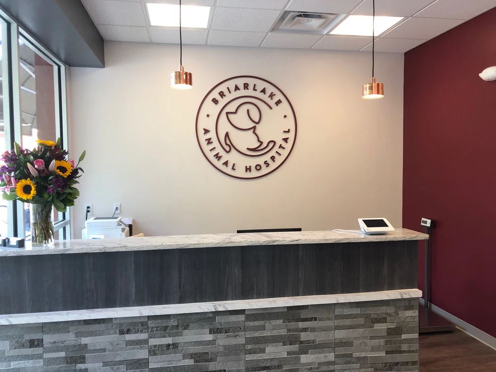 About Us Briarlake Animal Hospital