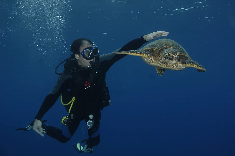 Don’t be this guy. It is never cool to pet turtles, no matter what your instructor tells you. Image by James
