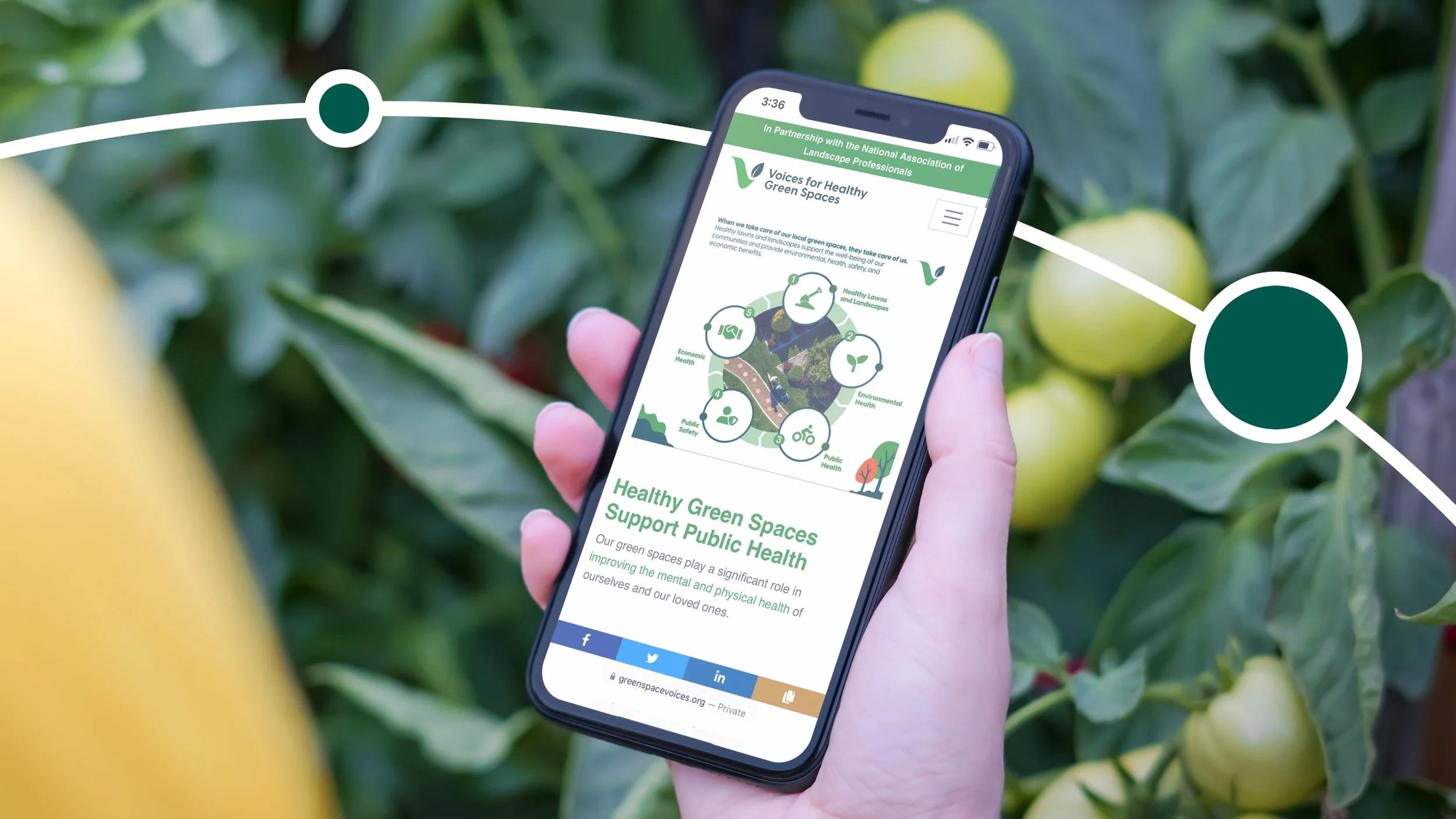 01_NALP Design Awards_Image 3@2x.jpg