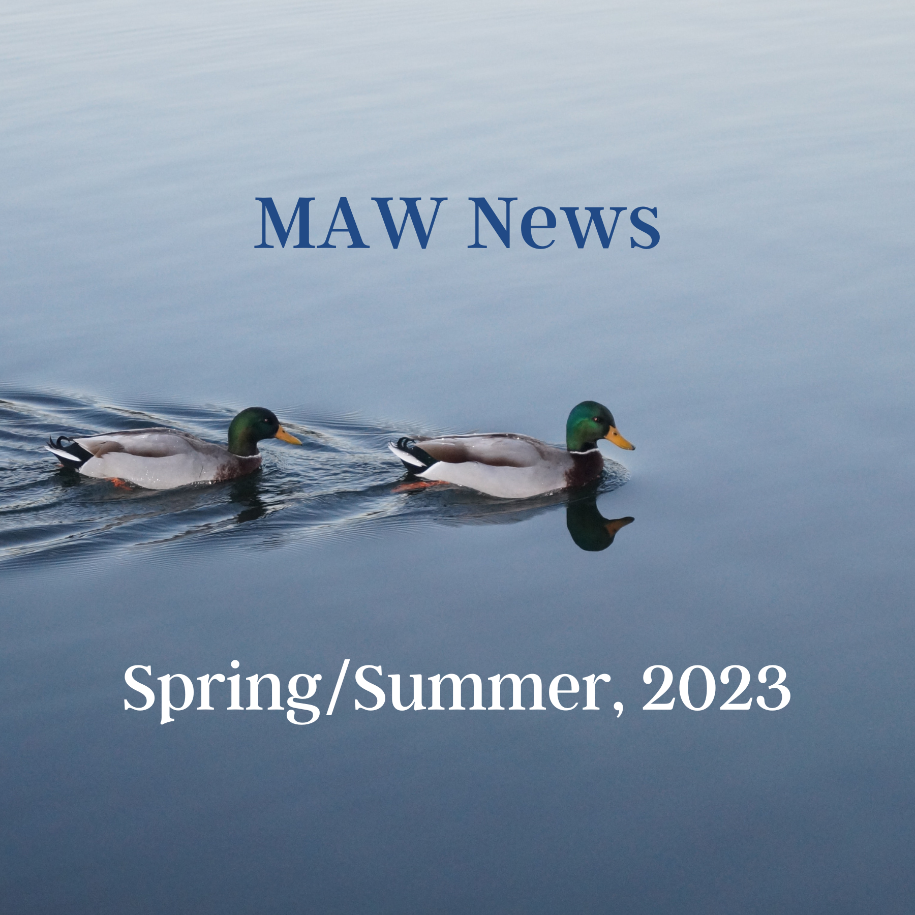 MAW News SpringSummer 2023 (1).png