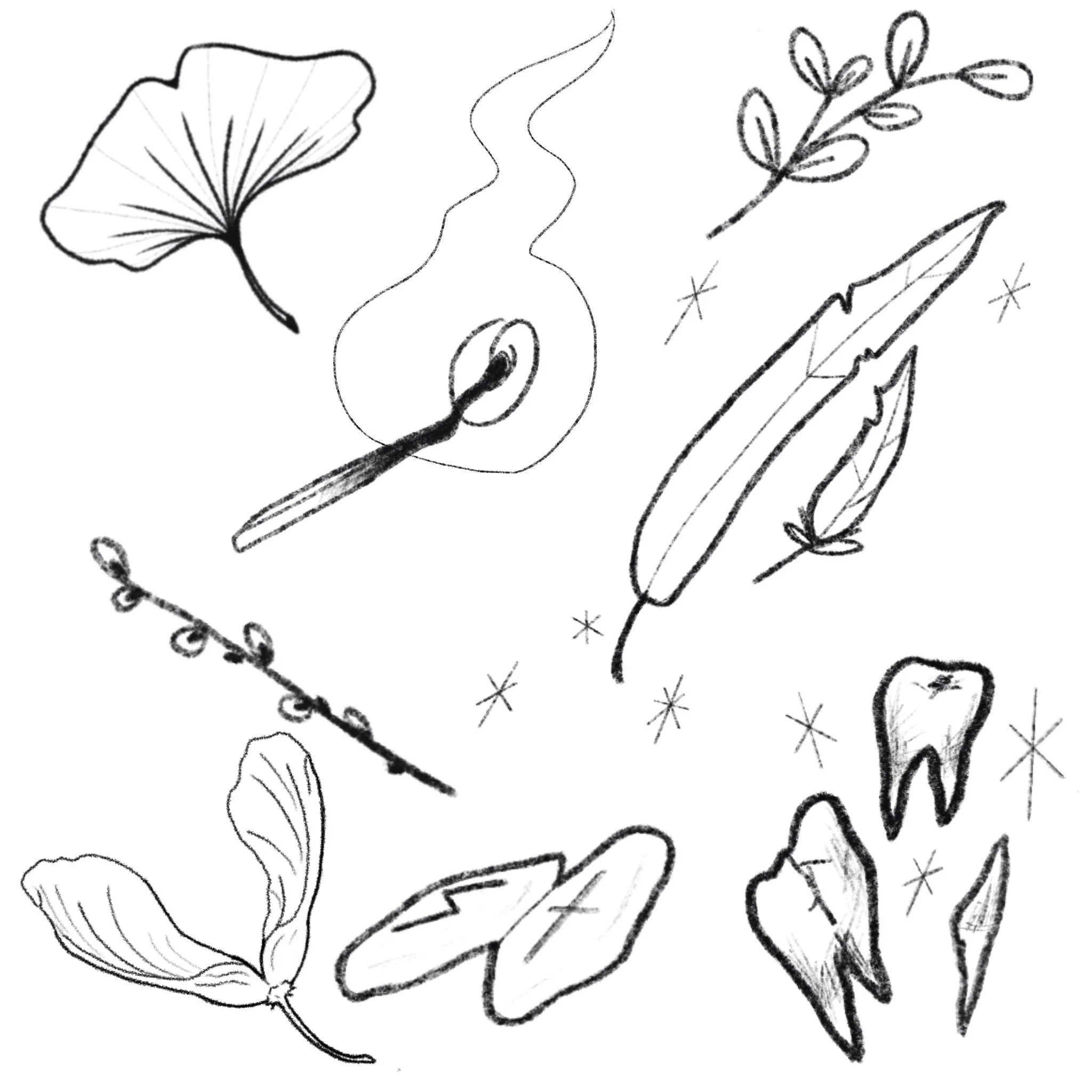 Untitled_Artwork 1.jpeg