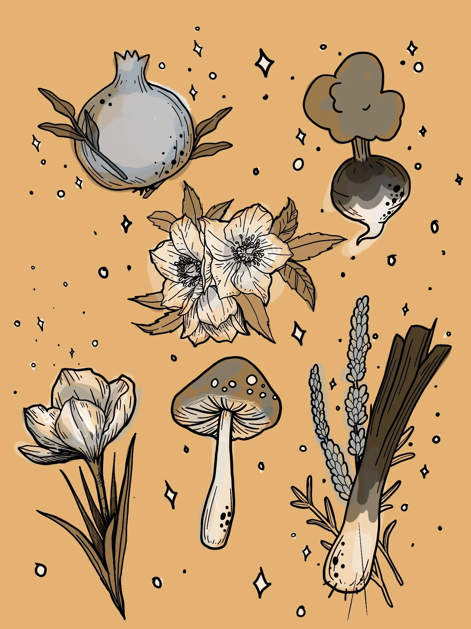 Untitled_Artwork 2.jpeg