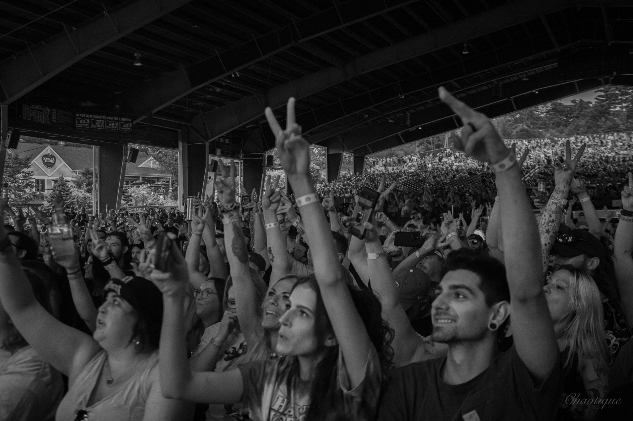 Crowd Vibes
