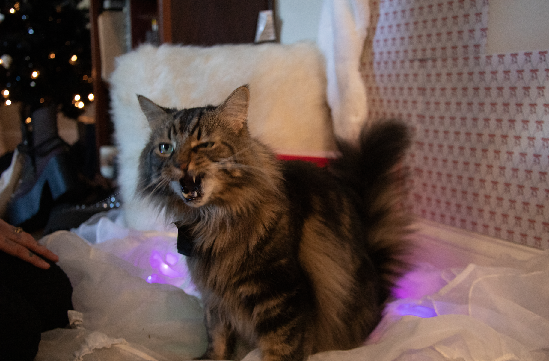 Screen Shot 2025-12-30 at 10.30.51 PM.png