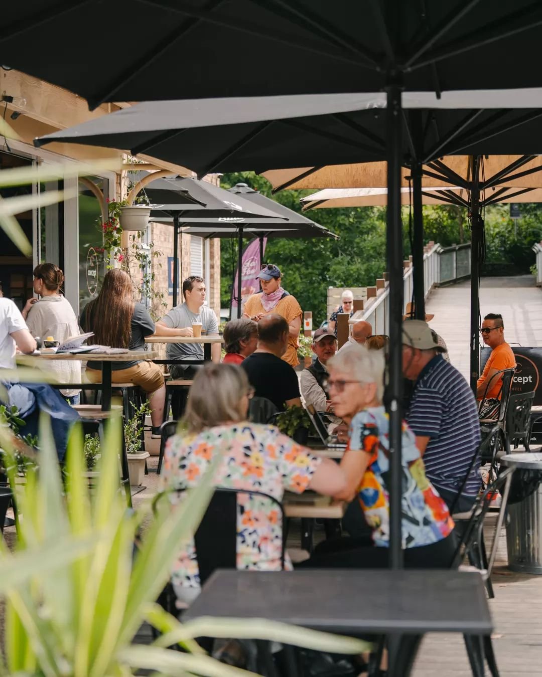 Find your favourite spot under the umbrellas and let the world pass by ☕🌿🪑. At Concept Coffee, it's always the right time for a catch-up over a cuppa. 

#ConceptCoffee #CafeVibes #CatchUpCoffee #RelaxAndUnwind #CommunityHub&quot;