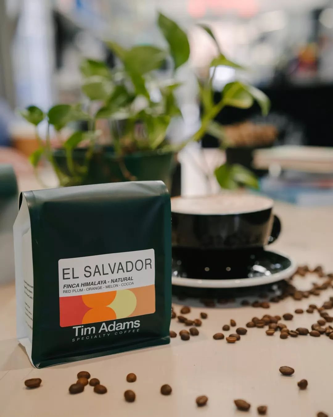 Discover the rich flavours of El Salvador with our Finca Himalaya single origin beans. ☕💼 Perfect for your home brewing adventures. Find it in-store or click the link in our bio to shop online! 

#CoffeeBlend #ElSalvadorCoffee #HomeBarista #ConceptC