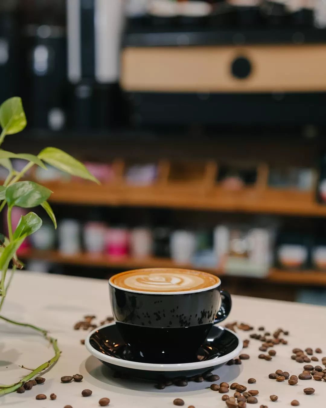 Your daily dose of delight awaits. 🌱☕ Grab a cup of pure perfection at Concept Coffee &mdash; no ordinary brew, just extraordinary moments. 

#DailyGrind #CoffeeTime #PerfectPour #BaristaArt #ConceptCoffee