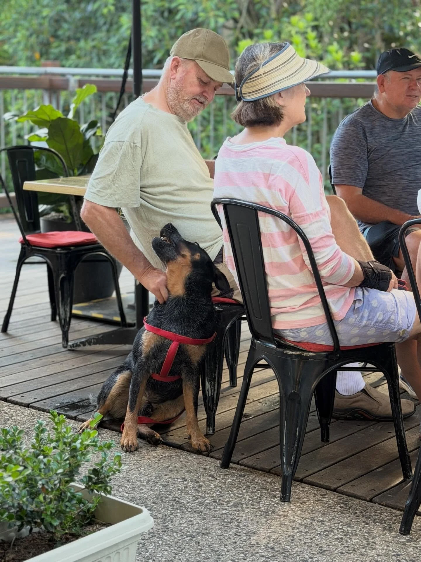 I&rsquo;ll be your best friend forever 🐕 
@conceptcoffeemaleny is a good place to bring your four-legged friends 

#bestfriends #coffeedates #dogfriendlycafe