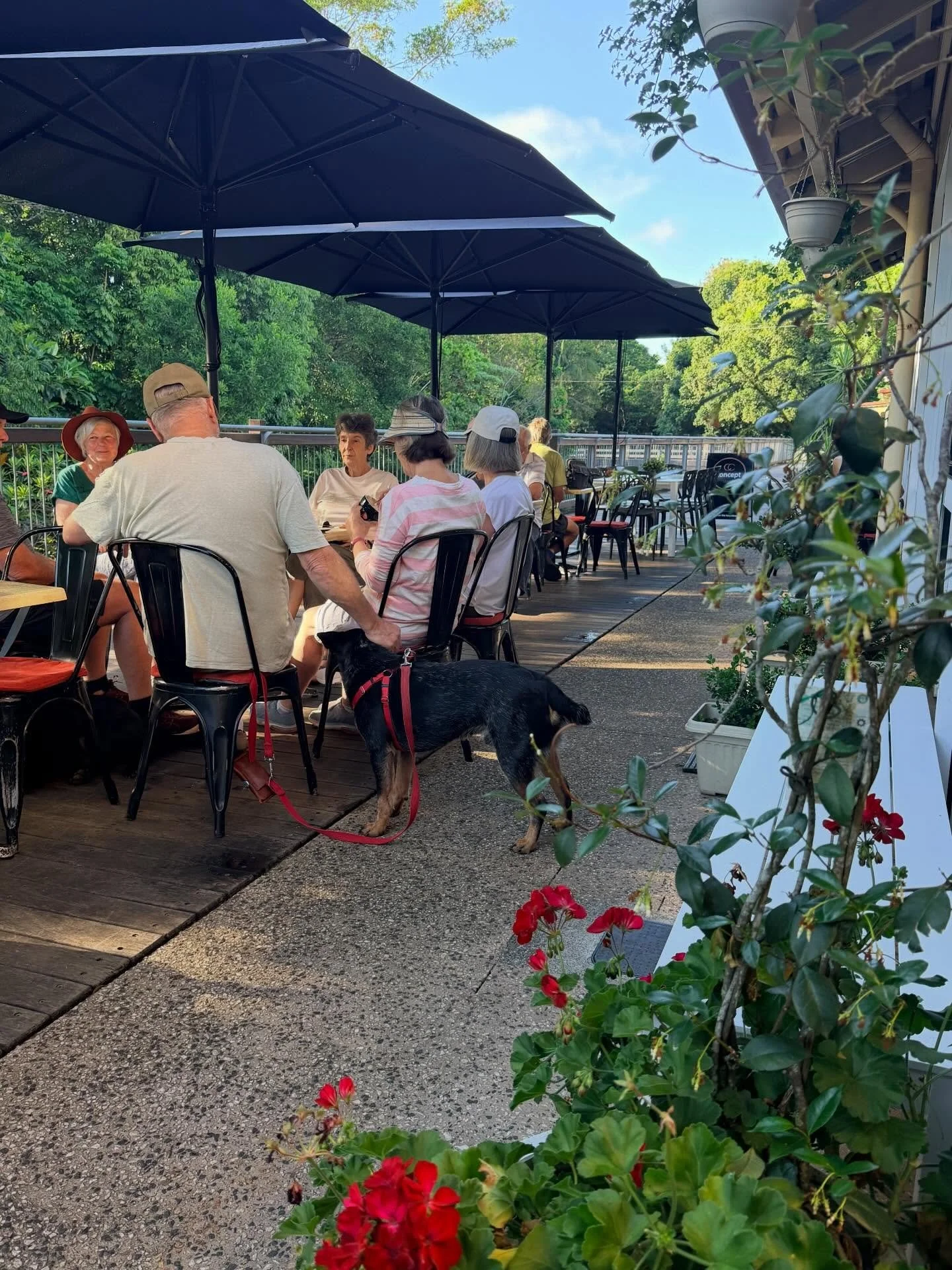 We&rsquo;re back at it and working hard to bring you delicious coffee this year ✨2026✨ 
Looking forward to a year full of good company, contagious laughs, bad jokes, cheeky smiles and lots more great coffee!!! 

#2026 #newyear #lookingforward ##conce