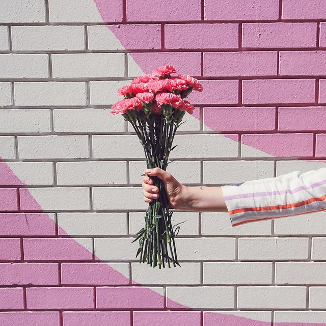 Carnation sensation for @modcloth 🌸 #stylist #contentcreator #carnations