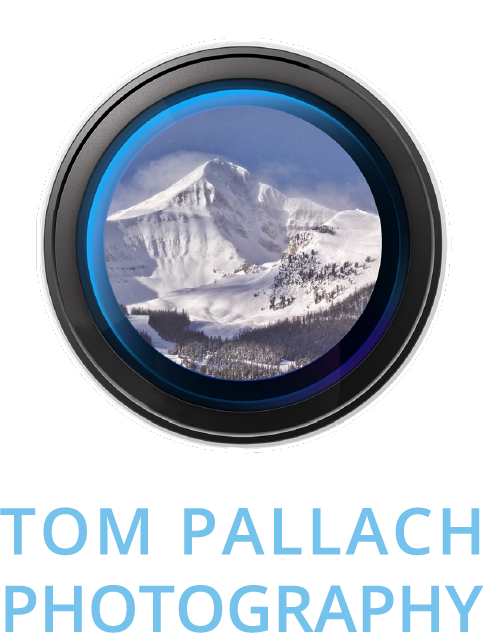 Tom Pallach Photography