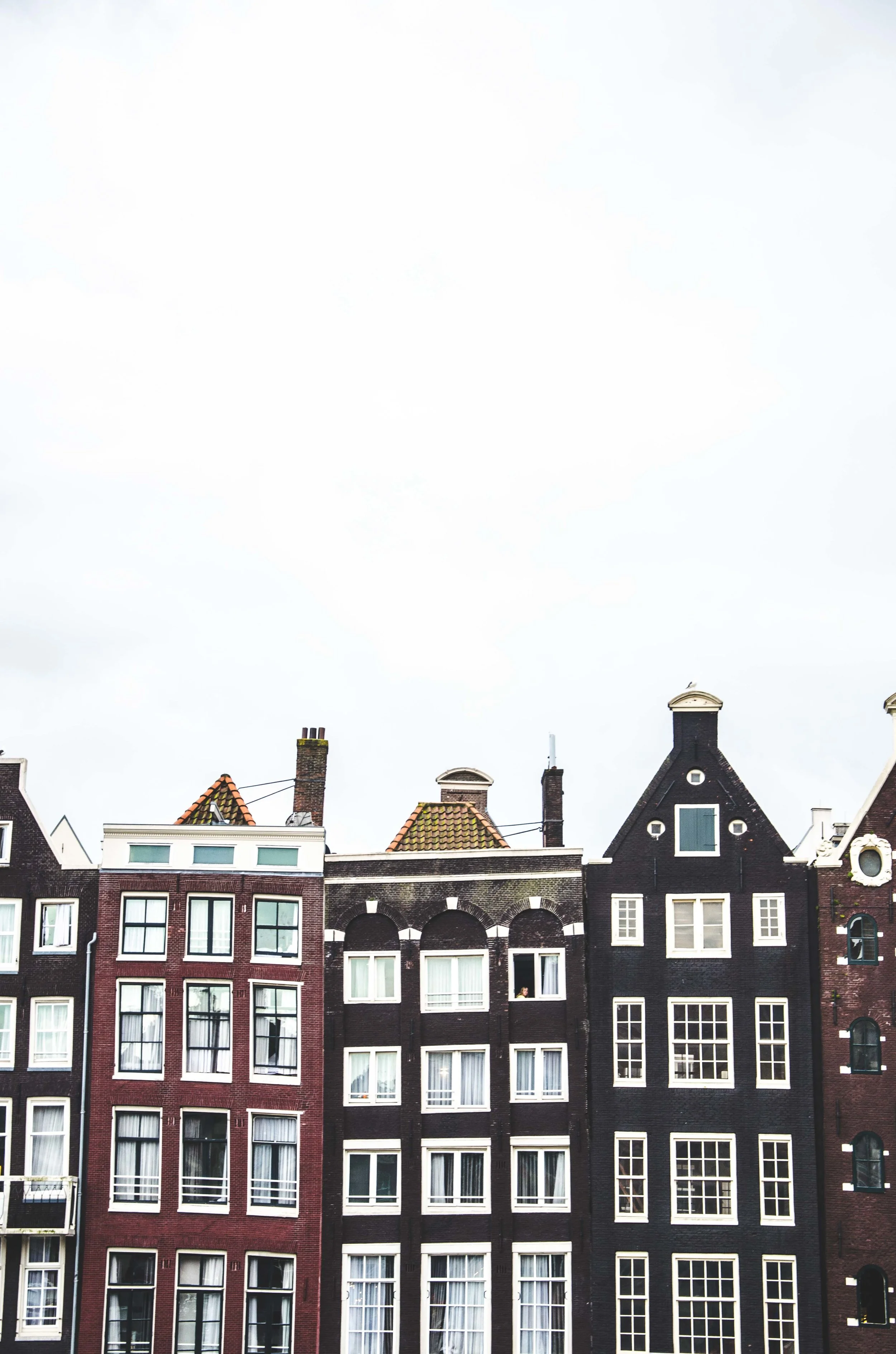 This beautiful photo is by Aneta Pawlik via Unsplash.com