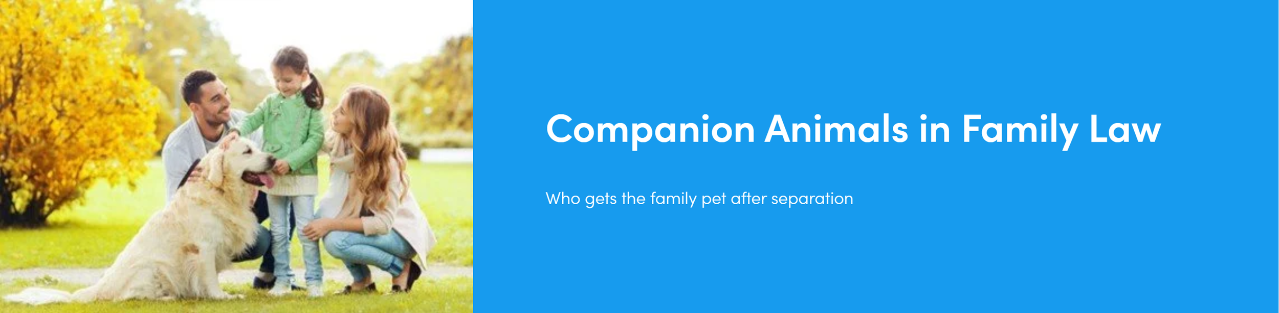 Companion Animals in Family Law