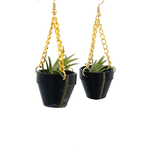 dracaena pronounce Lisa Dracaena