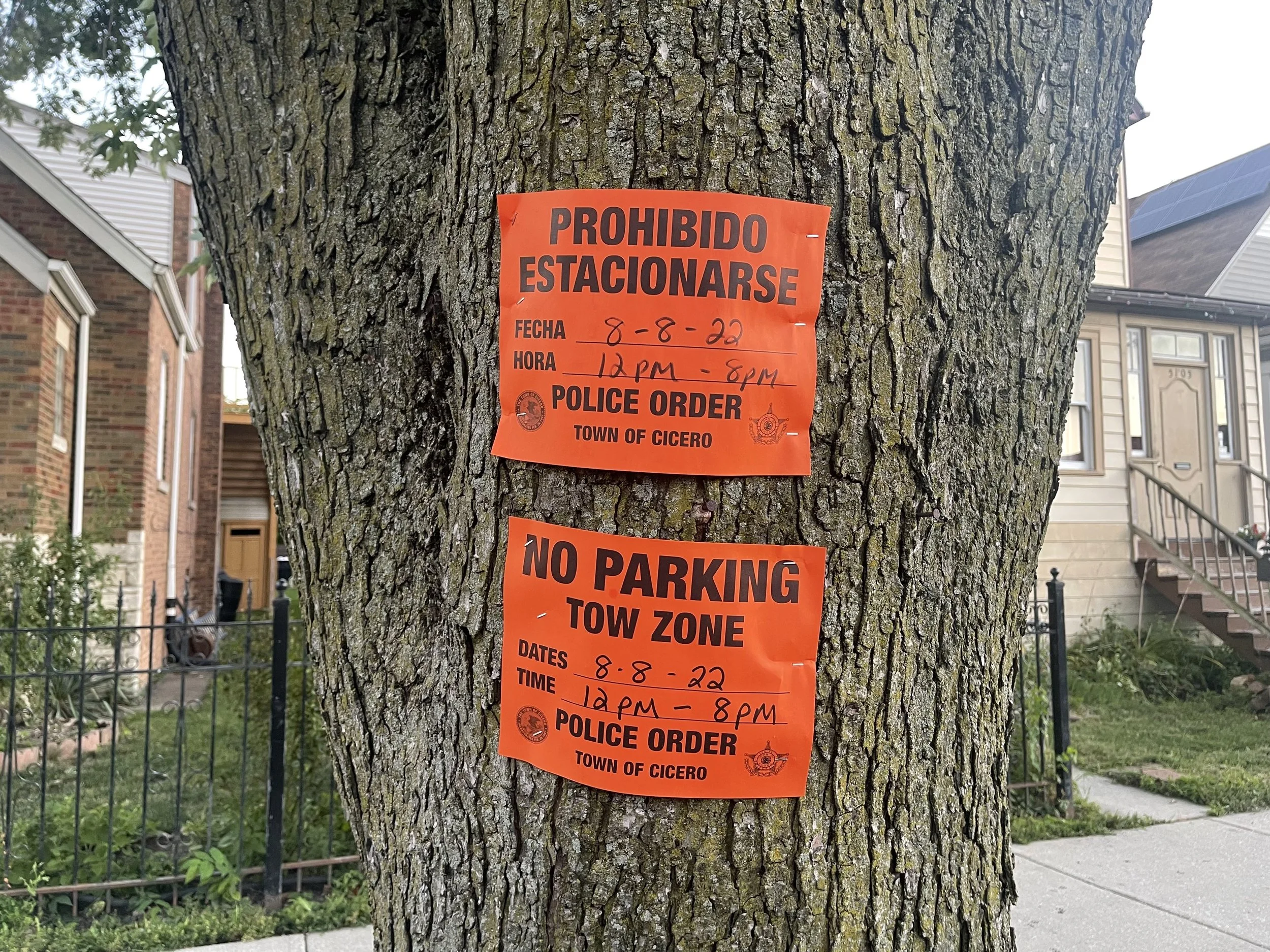 Se ve un gran tronco de árbol con casas al fondo. En el tronco del árbol hay dos letreros naranjas en inglés y español que dicen "Orden policial", "No estacionar", "Zona de remolque".
