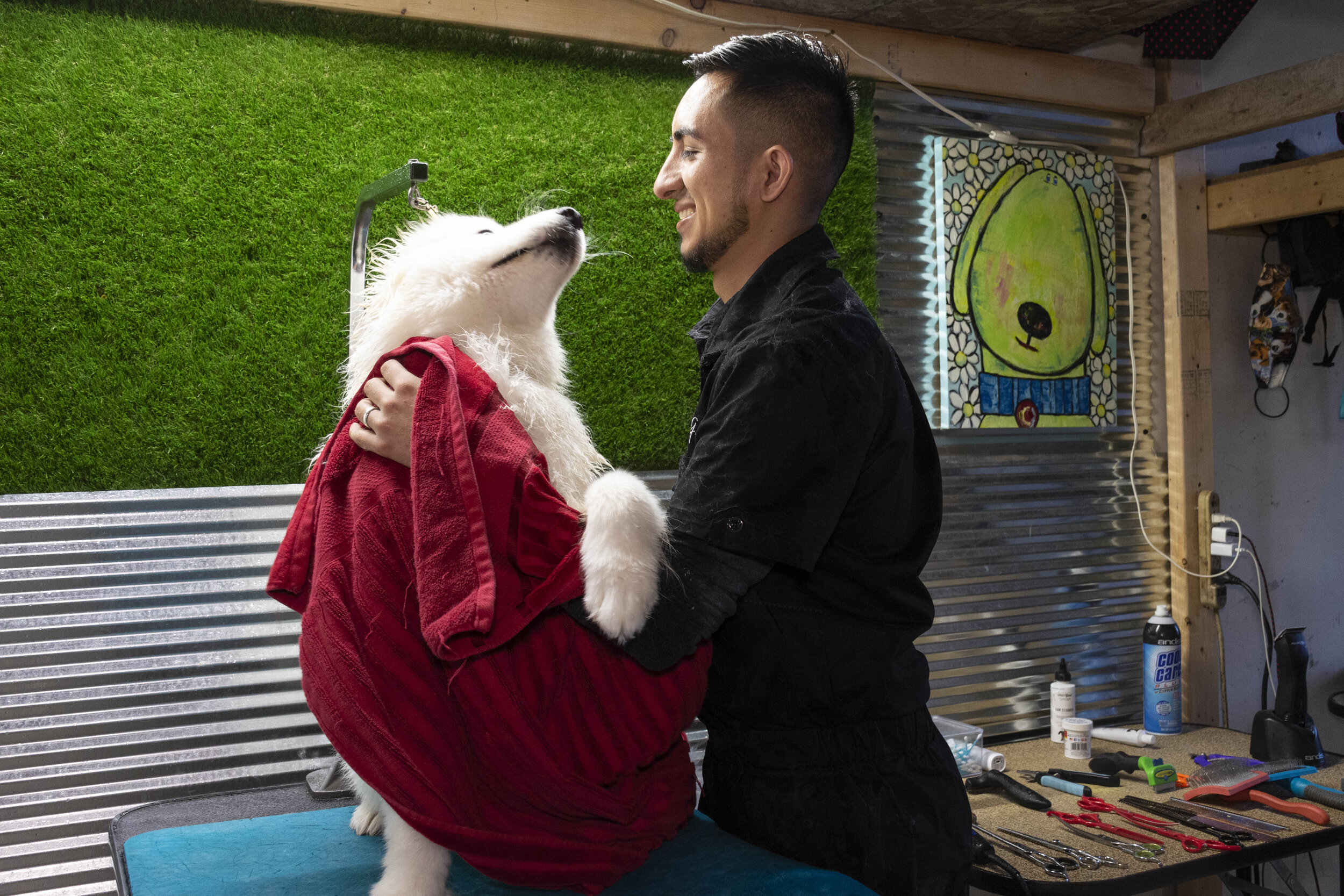  Danny The Groomer baña a su cliente, Coco, el 6 de octubre de 2020. Hernández abrió su negocio de peluquería canina a principios de este año (Foto por April Alonso).     