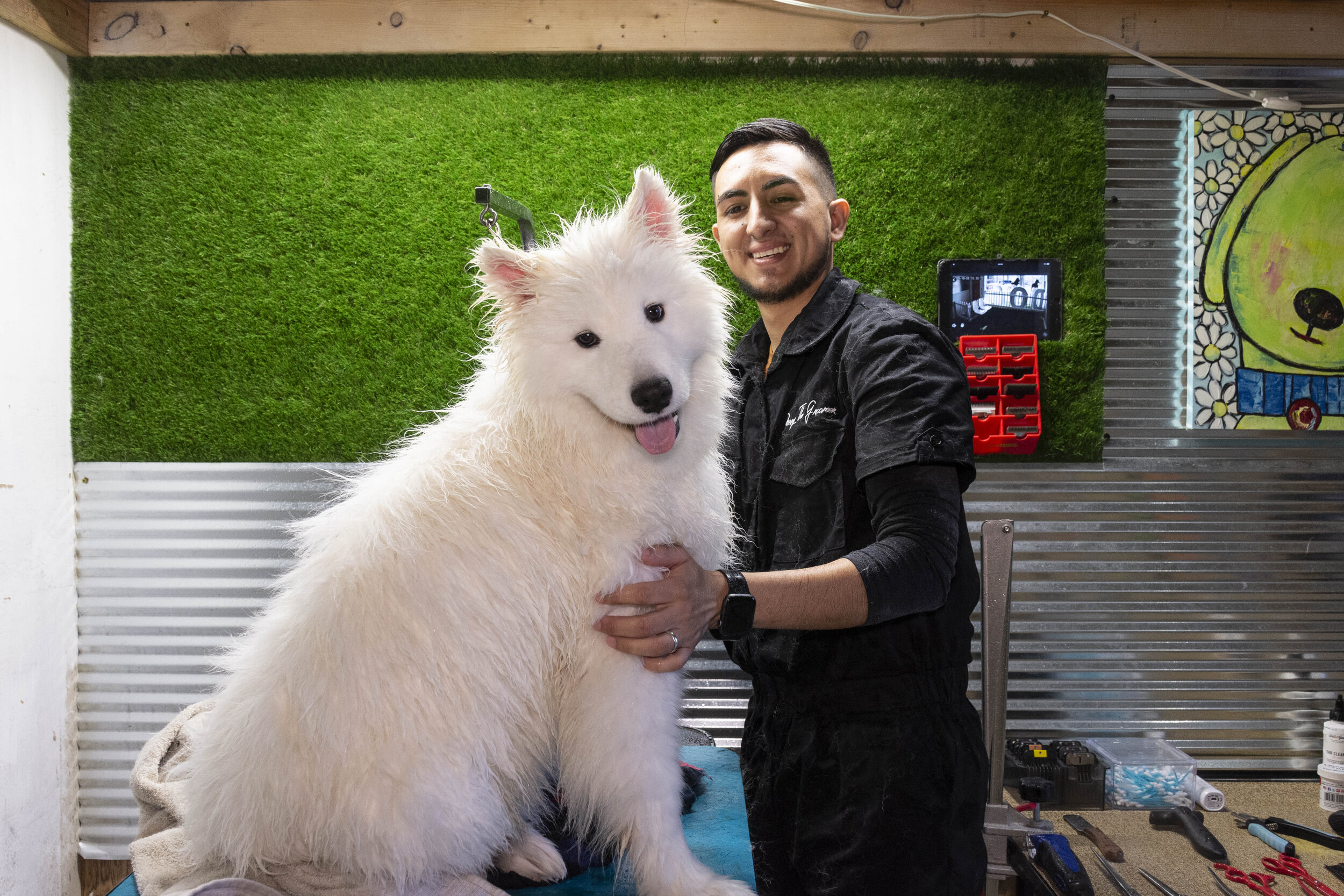  Danny The Groomer baña a su cliente, Coco, el 6 de octubre de 2020. Hernández abrió su negocio de peluquería canina a principios de este año (Foto por April Alonso).       