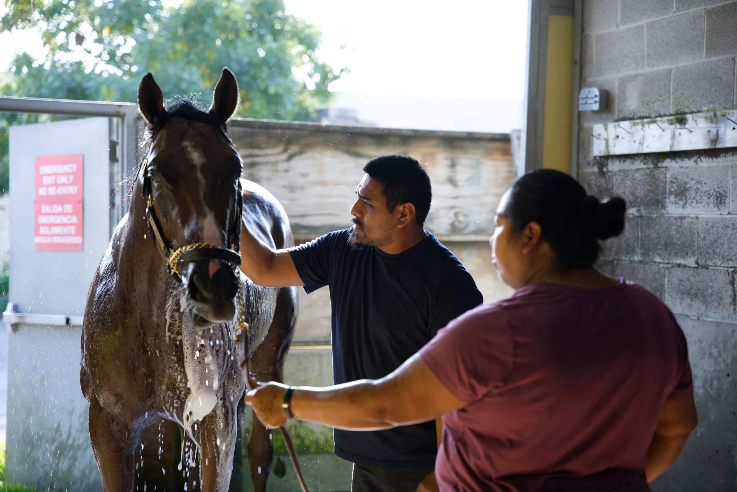 ‘Se acabó’: A Community’s Last Days At The Hawthorne Race Course Backstretch
