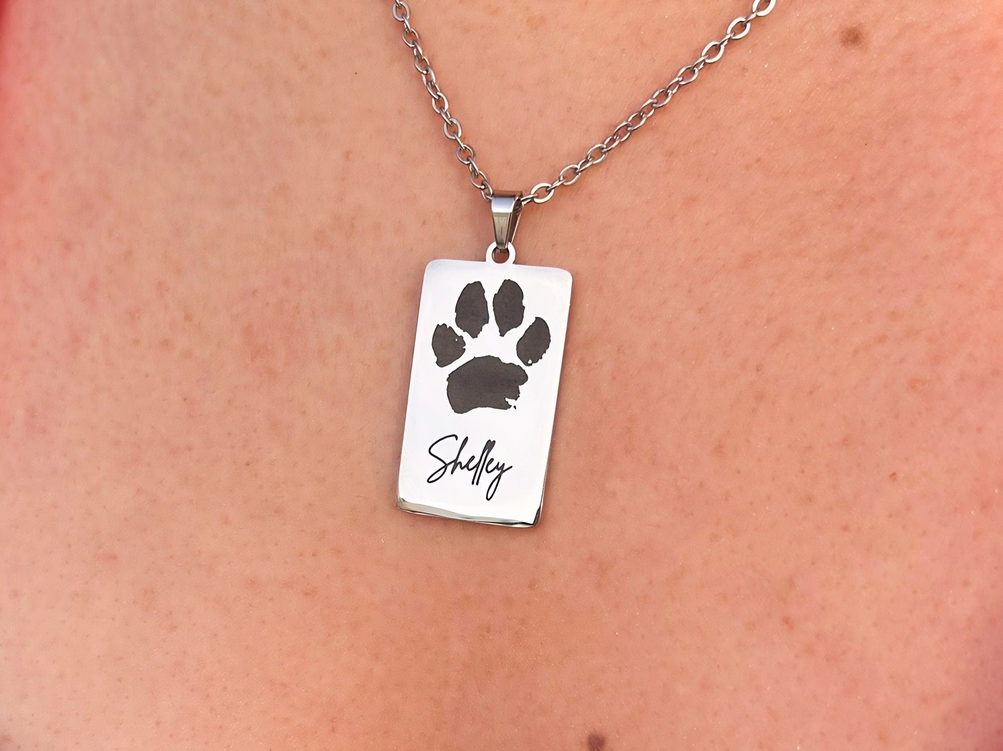 Pawprnt Rectangle silver-min.jpg