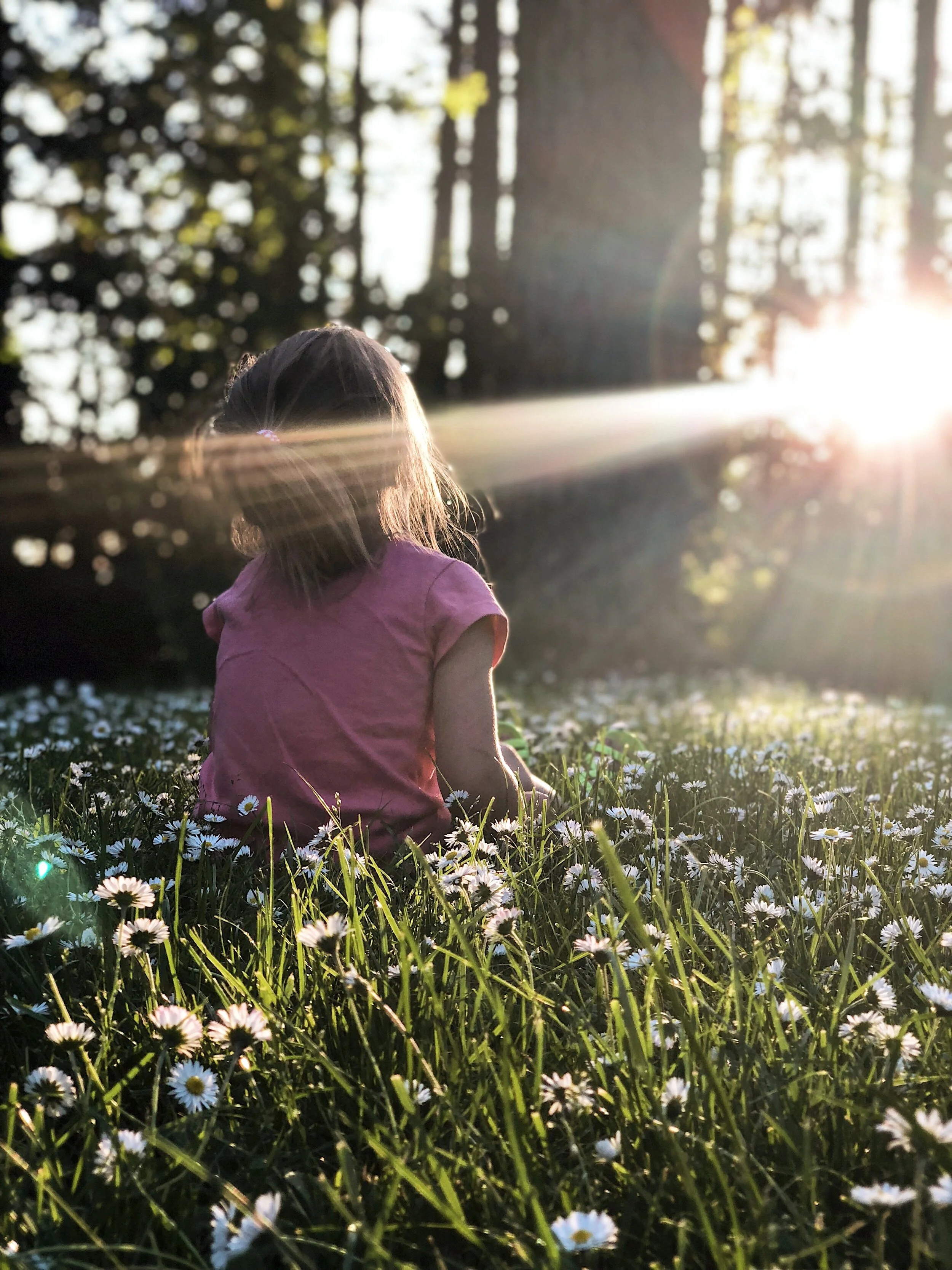 The Violin and the Mind: How Playing the Violin Brings Us… Happiness!