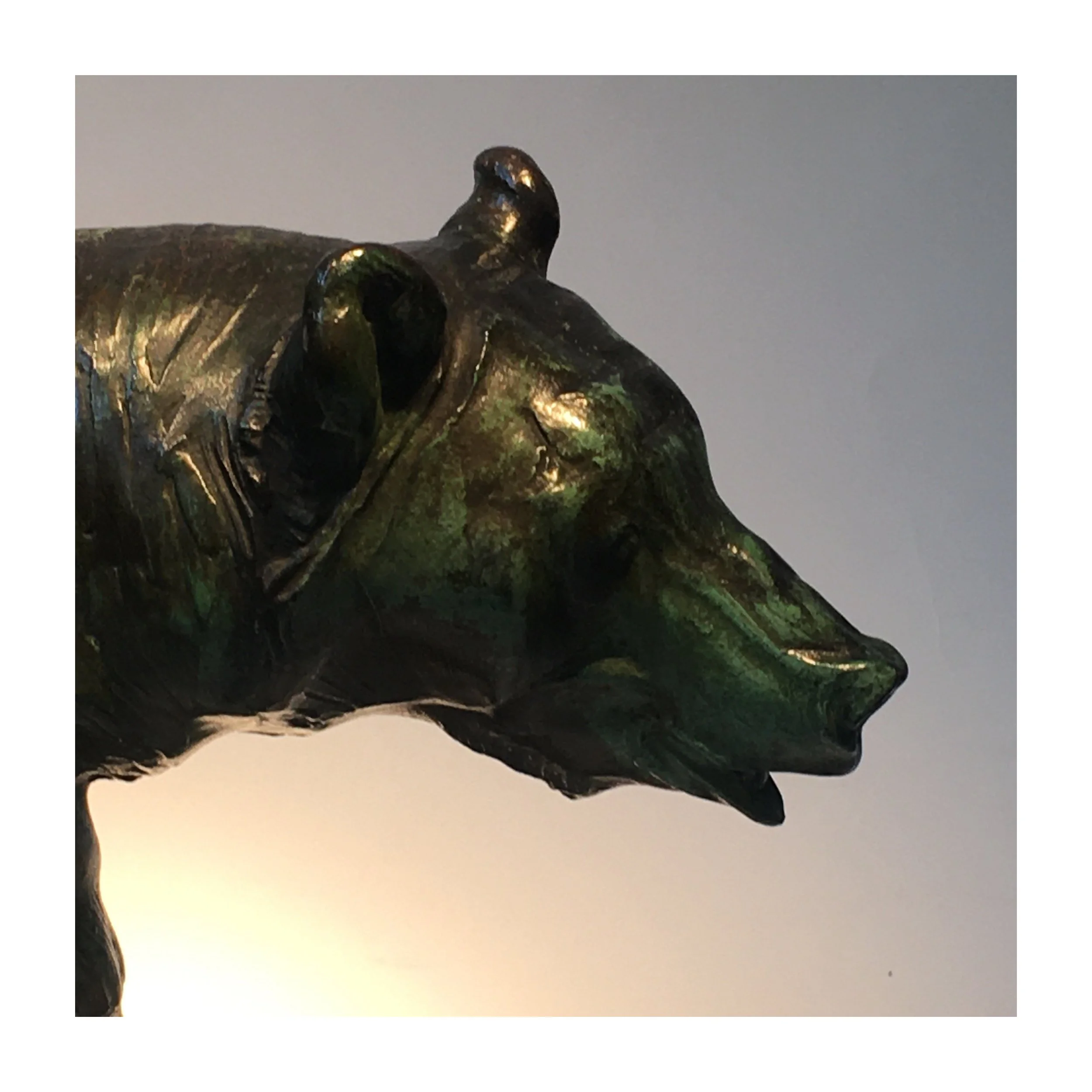 image_6483441 (59).JPG