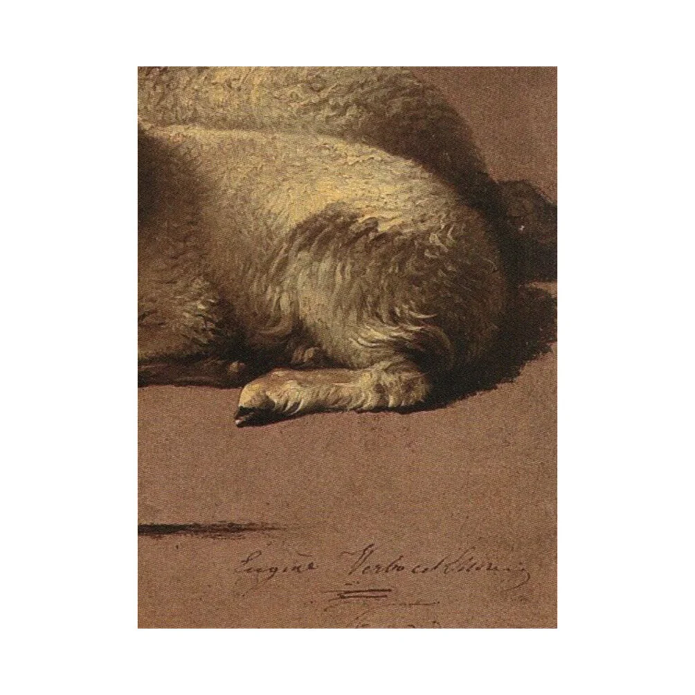 E2D8EFB9-CF93-4C01-986A-DDDFD9D66635