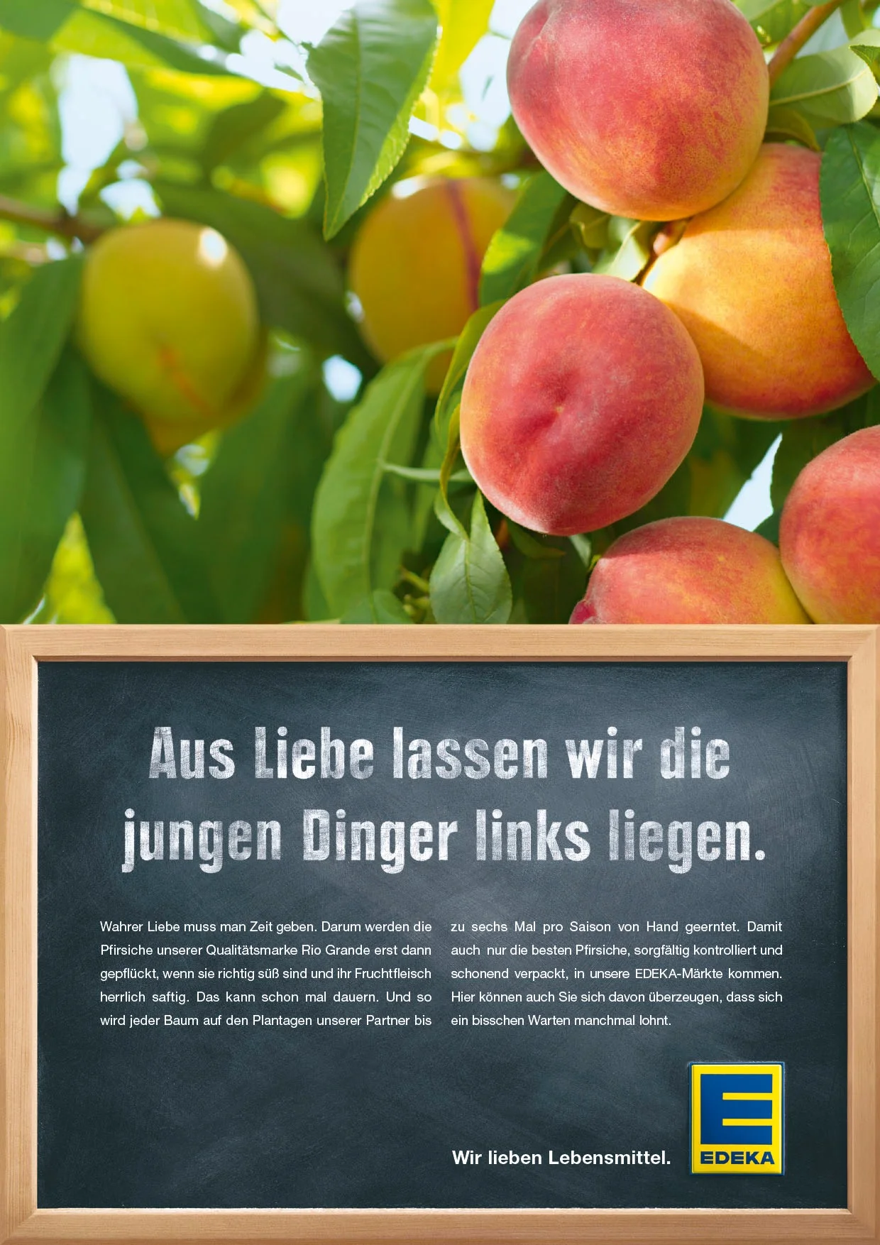 EDEKA_Anzeigen_ABC_Tafel dunkler_Pfirsich.jpg