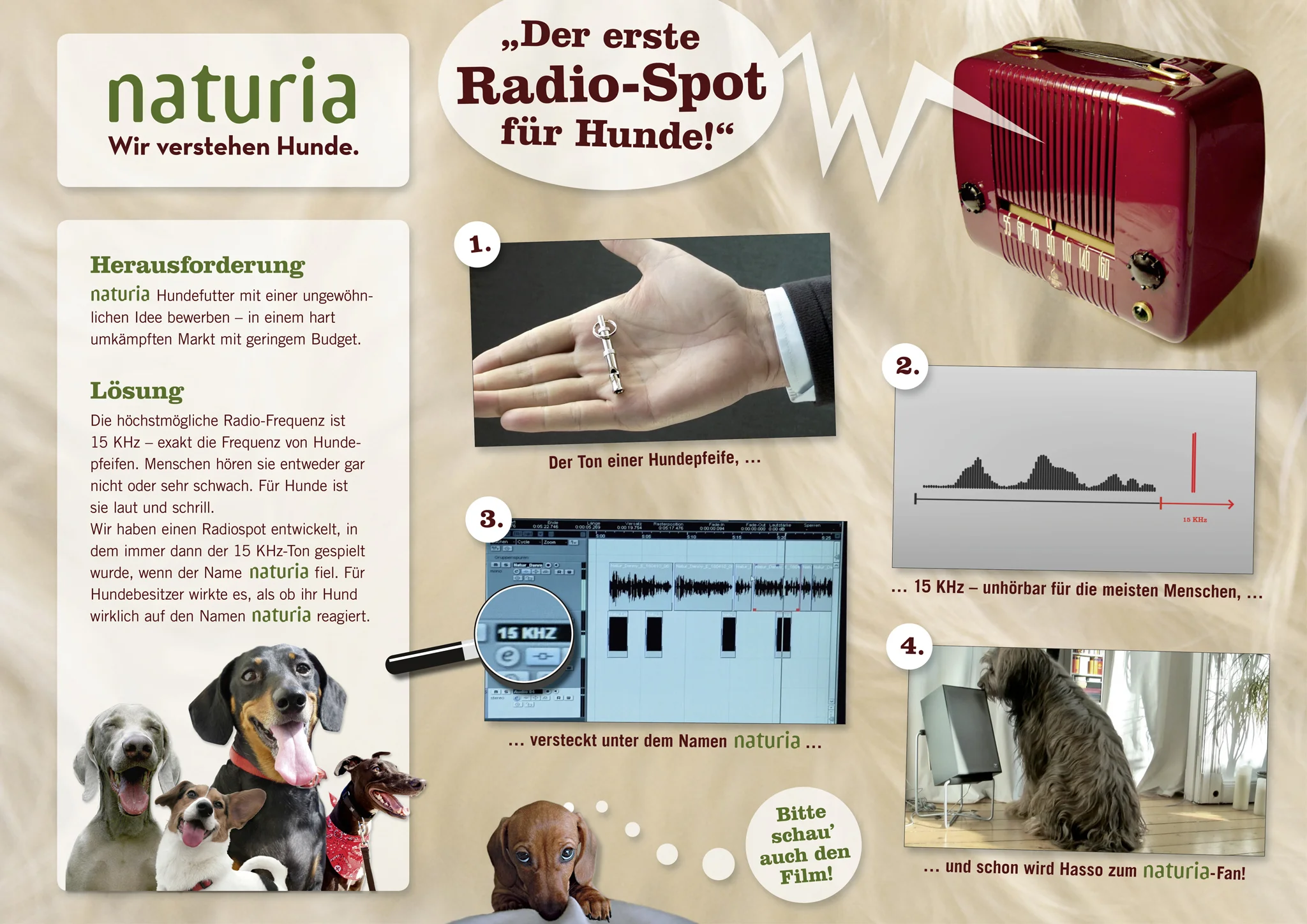 NATURIA_Hunde-Funk_Pappe_Kat_11_Media.jpg