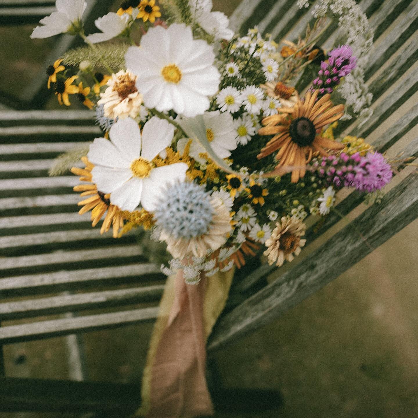 a true native wildflower vibe for Eliza &amp; Josh and I have to say, I loved every detail 💛🌻🌿