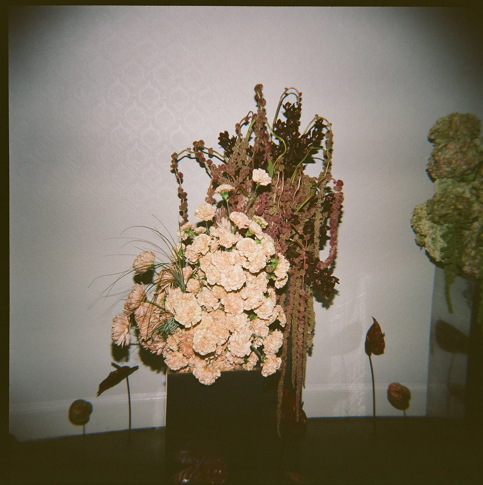 Film photograph of an artful pink floral installation with dark foliage designed by Elizabeth McKenzie Florals at La Villa in Kansas City.