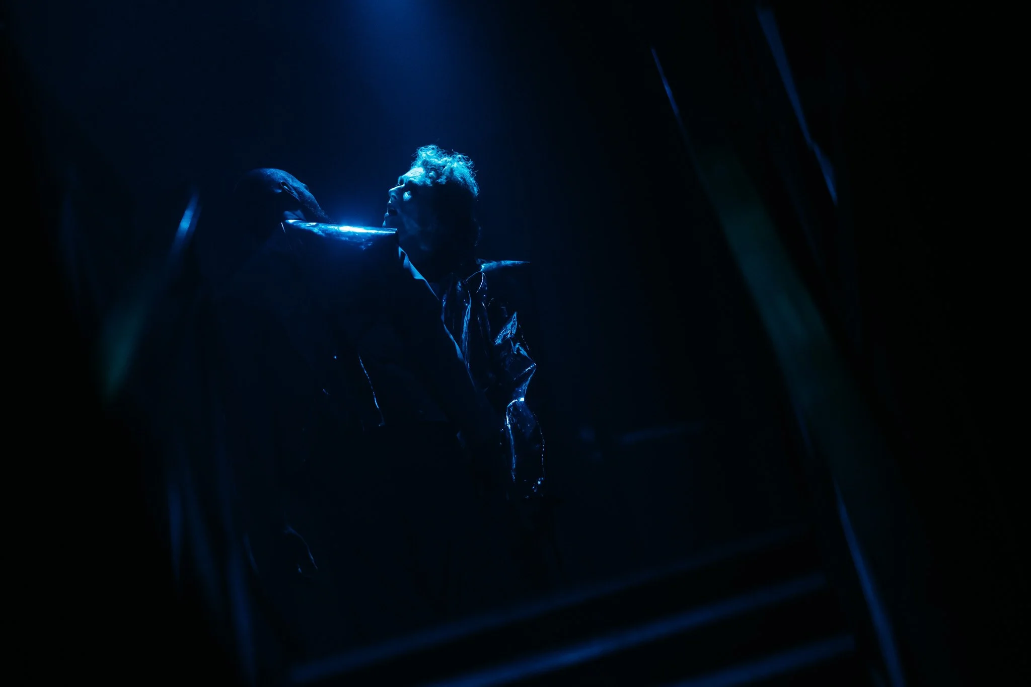 2026-01-29 _ 20-16-33 Mantas Repecka (MRE05157).jpg