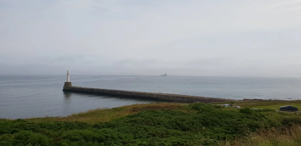 20190716_100444 web.jpg