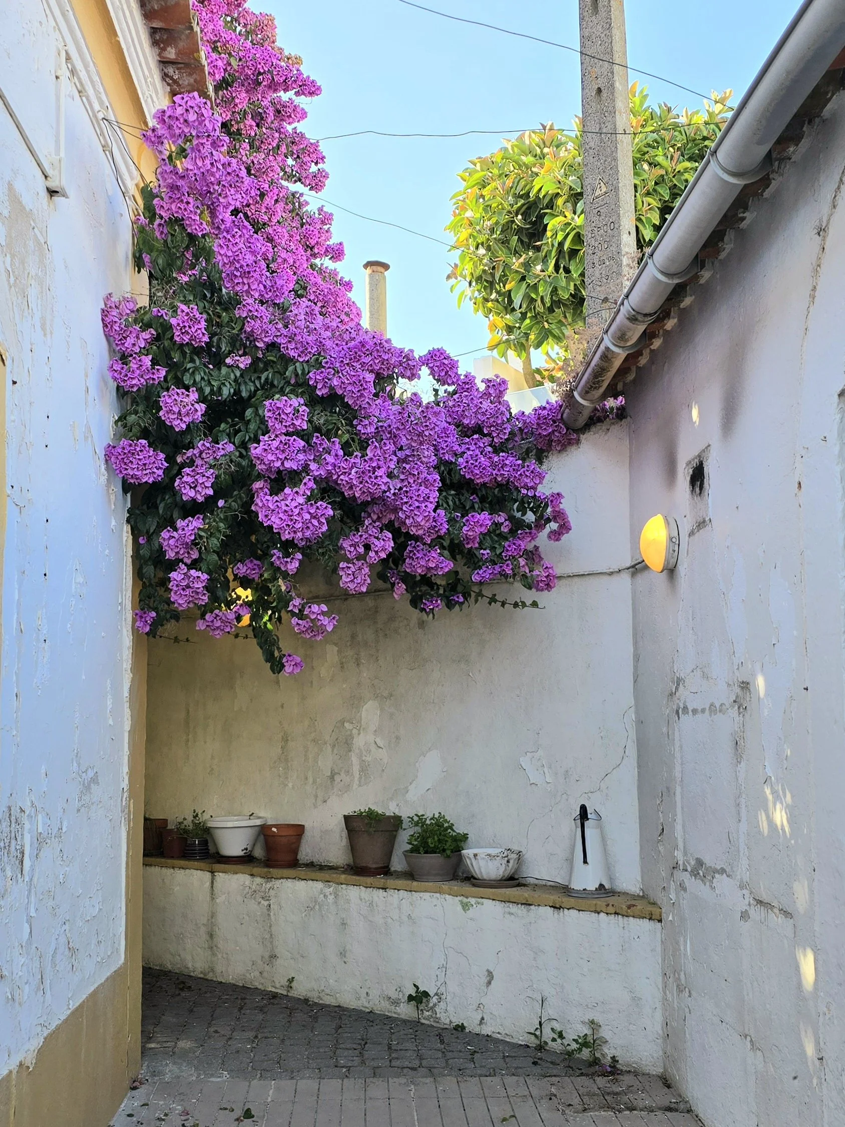 entrada.jpg