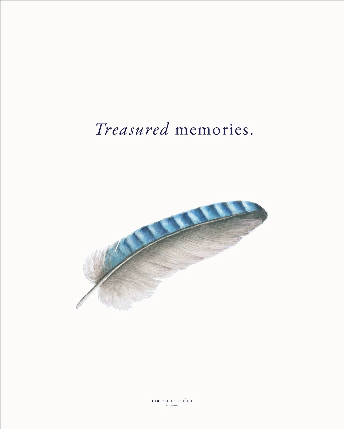 &bull; A single bright blue jay feather ~ a gentle way to remember a person or honour a moment that mattered ~ a greeting card design that has been added to the collection for condolences or simply to share that you&rsquo;re holding someone in your t