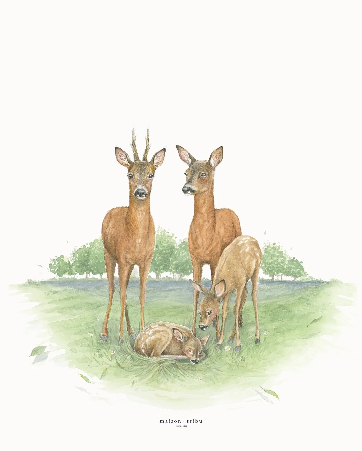 &bull; A family of deer, welcoming the newest addition ~ little Jean-Jacques has joined the woods ~ and then there were four &bull; @silkesurmont @jonas_spe #maisontribu #birthannouncements #deer