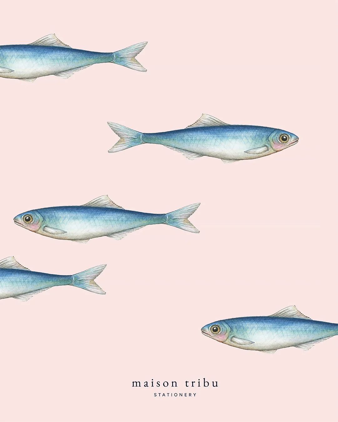 So proud of you. Keep going your own  way. This bright little sardine is too cool for school and will soon join our stationery collection, both as a greeting card and as a correspondence card icon. #maisontribu #sardines #greetingcards
