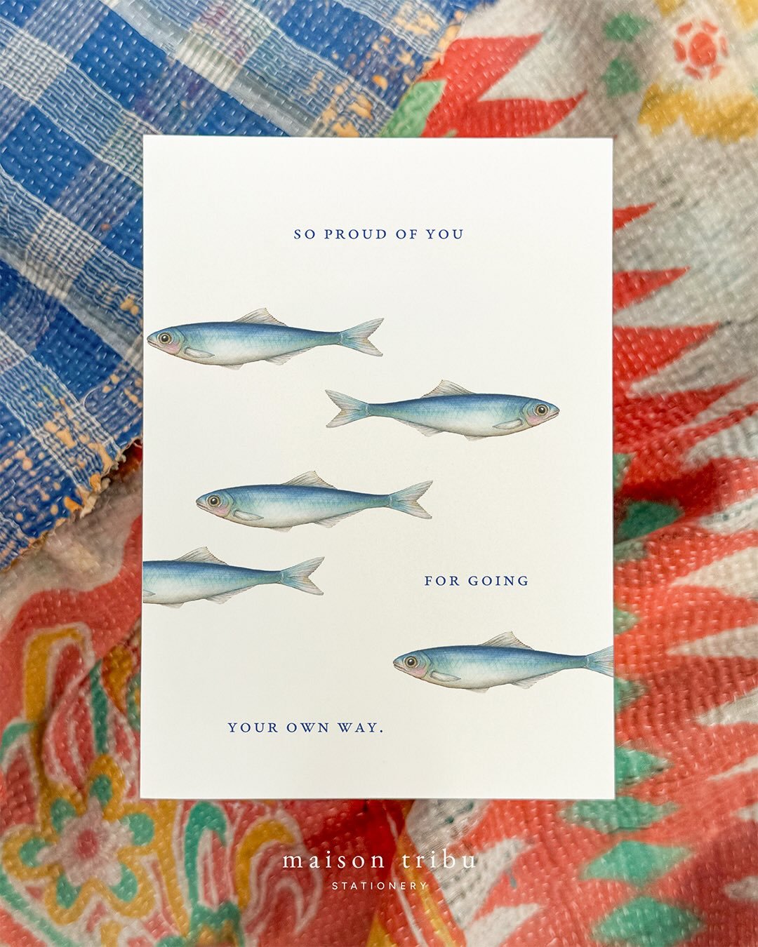 &bull; So proud of you for going your own way &bull; A new greeting card to tell someone special that you&rsquo;re proud of them for swimming upstream and choosing their own course &bull; to celebrate a birthday, mark a milestone or just because #mai