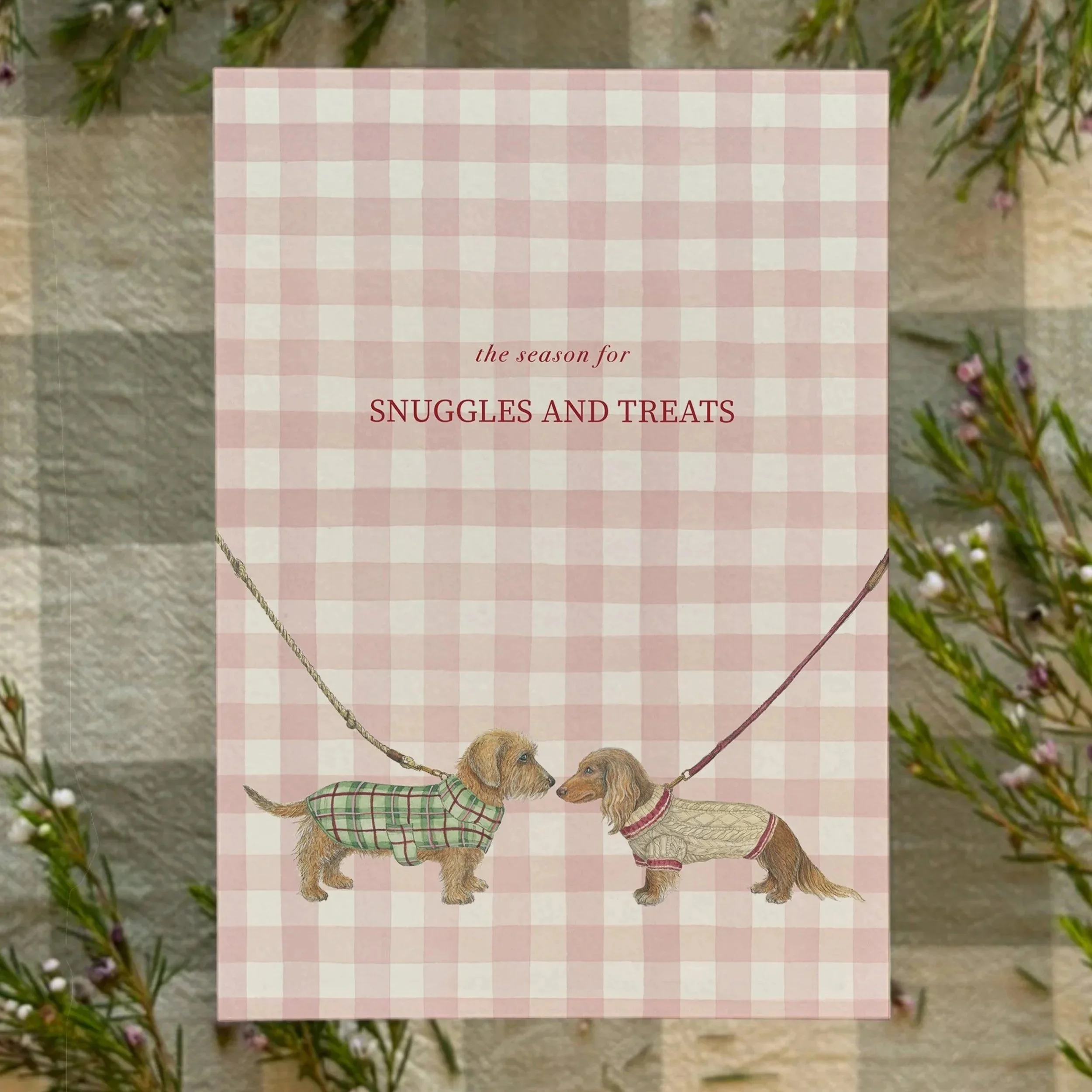 MTwebshop2026%2B-%2BAtelierNinaDachshunds%2B-%2BSnugglesAndTreats.jpg