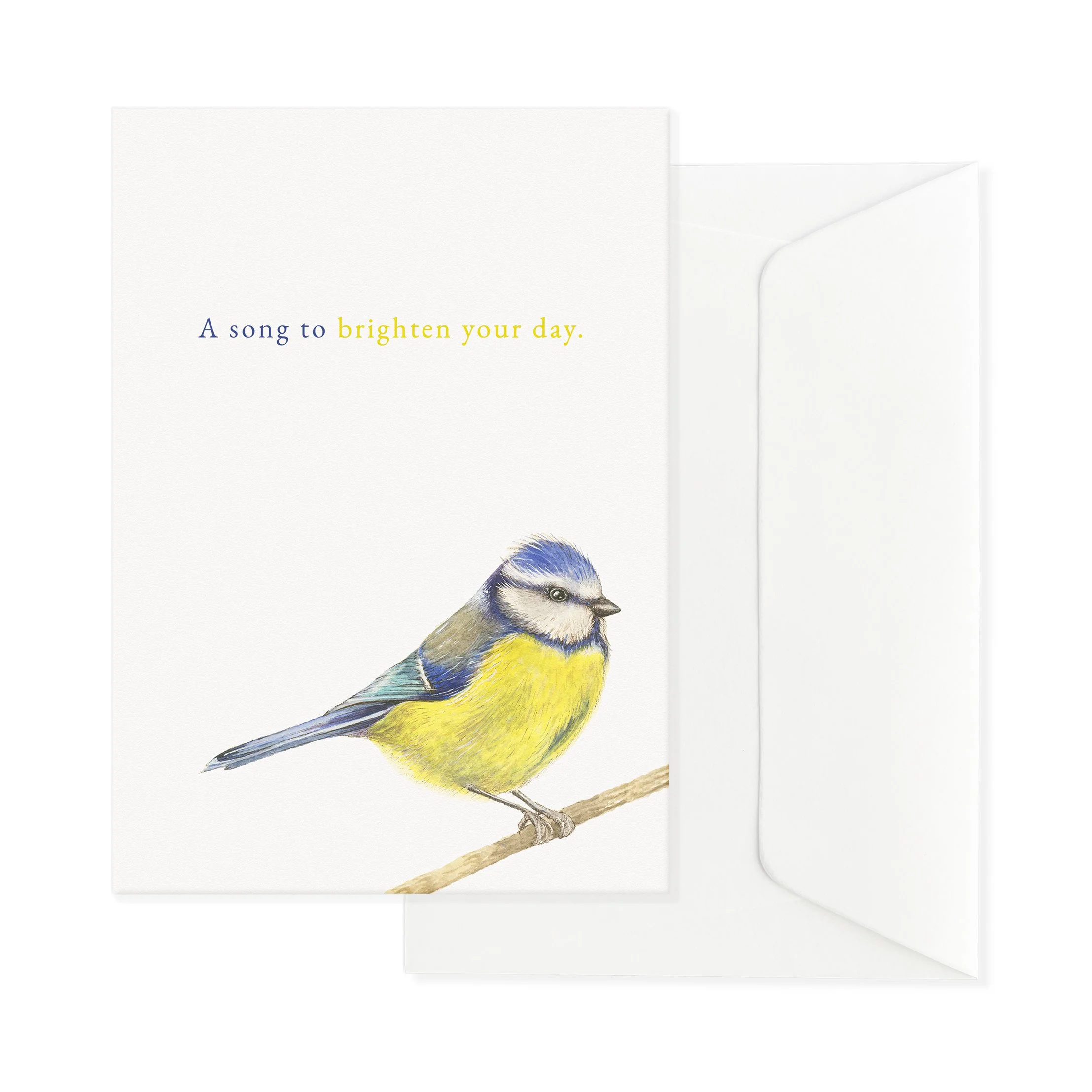 MTwebshop2026 - ASongToBrightenYourDay - BlueTit.jpg
