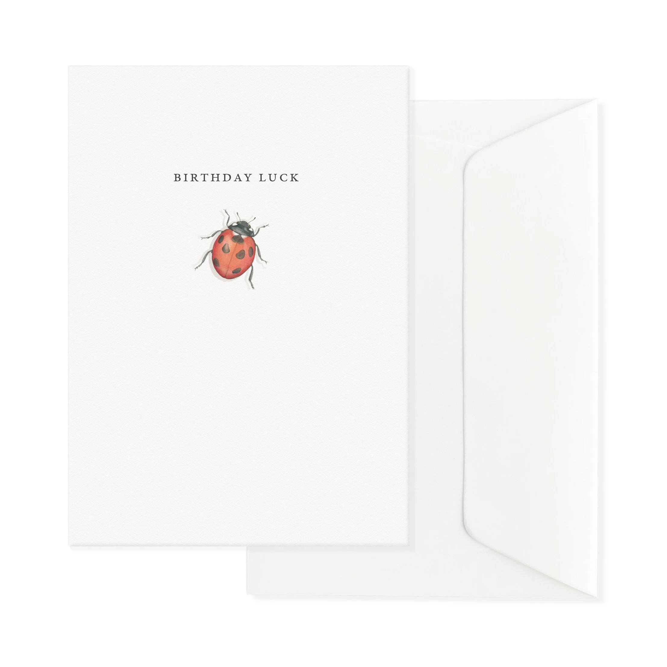 Birthday Ladybird Luck