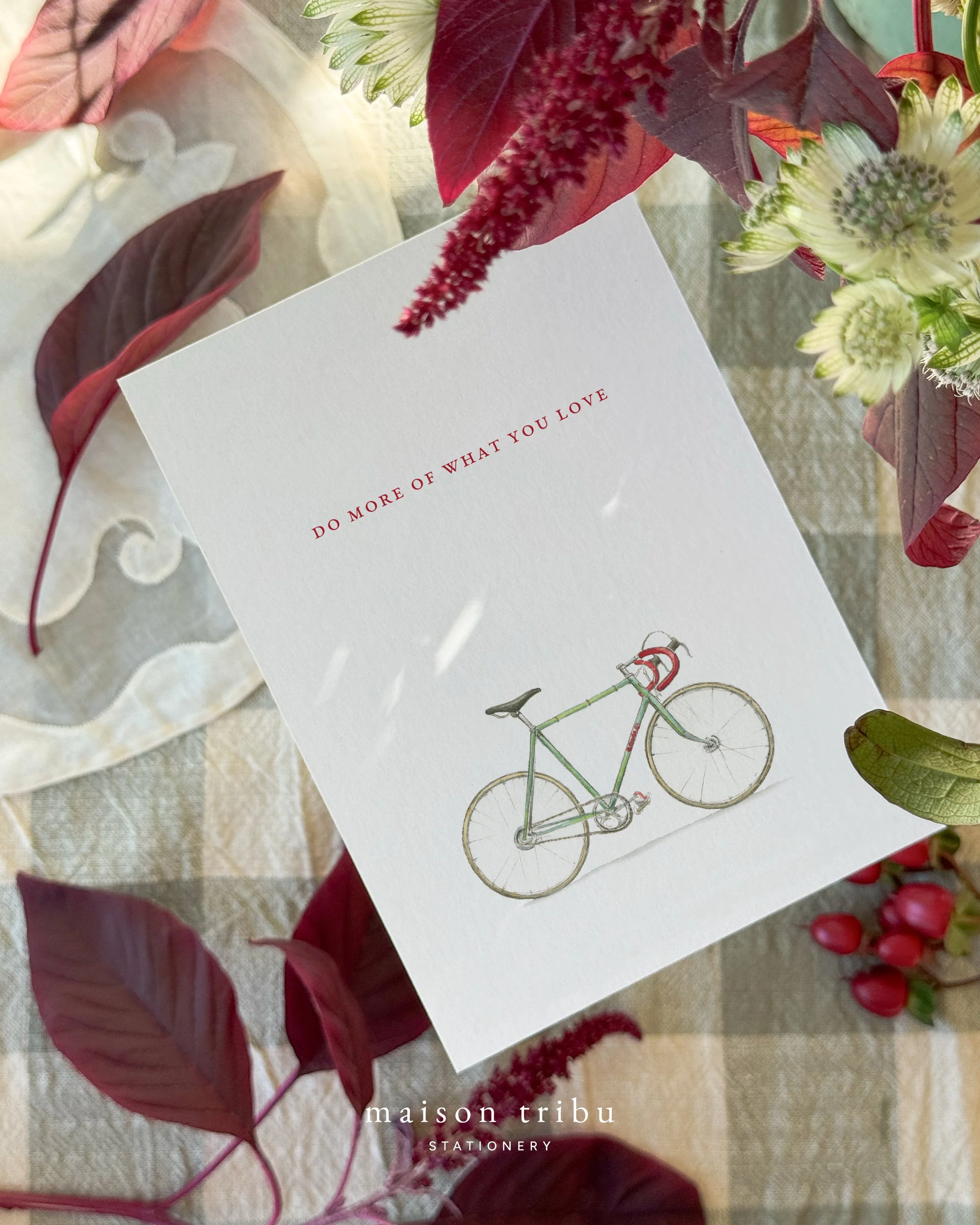 MTwebshop2026 - DoMoreOfWhatYouLoveBike - PHOTO.jpg