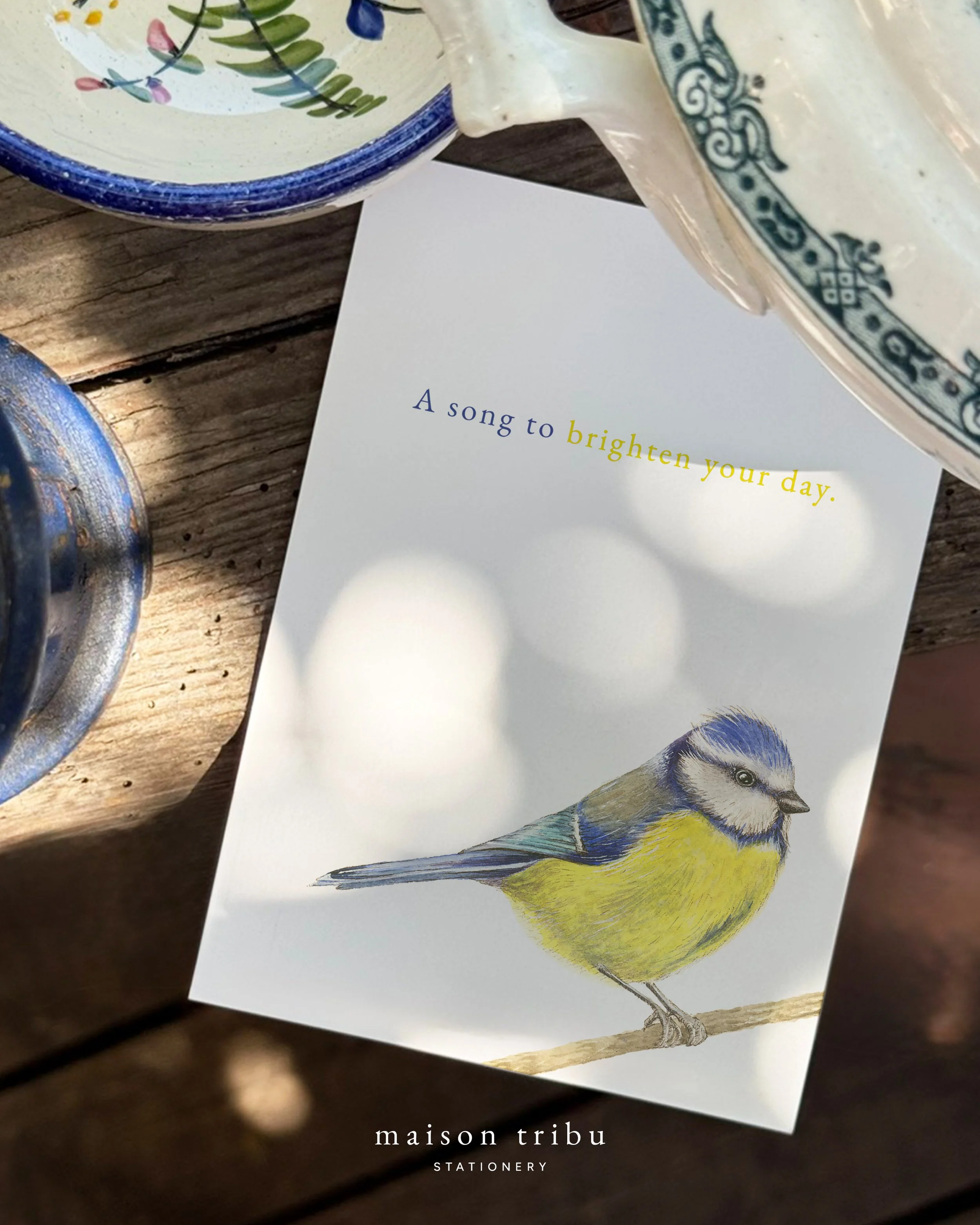 MTwebshop2026 - ASongToBrightenYourDay - BlueTitPHOTO.jpg