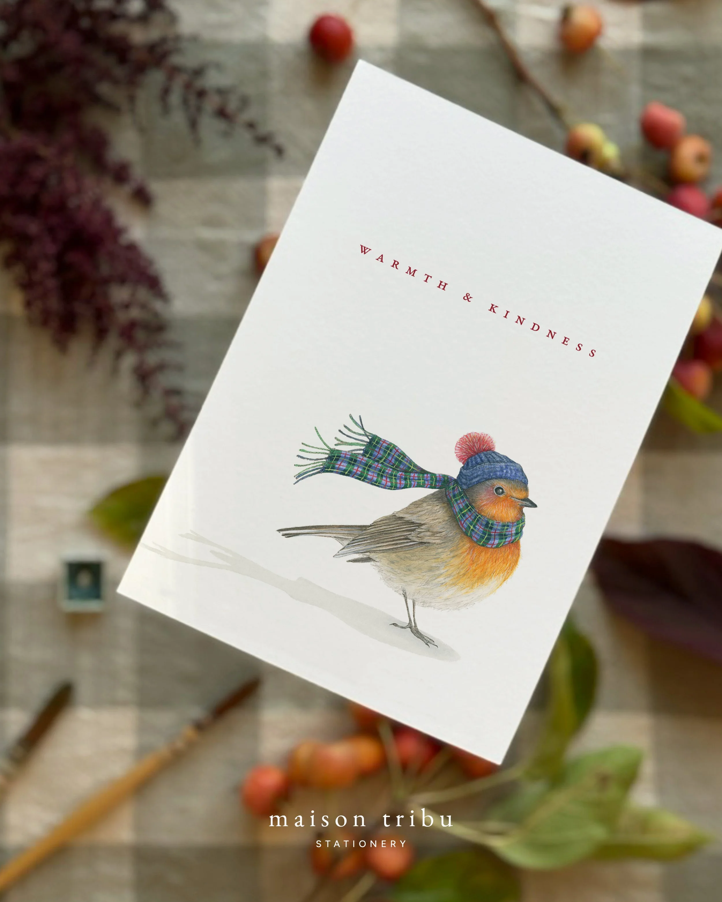 MTwebshop2026 - RobinWarmth&KindnessPHOTO.jpg