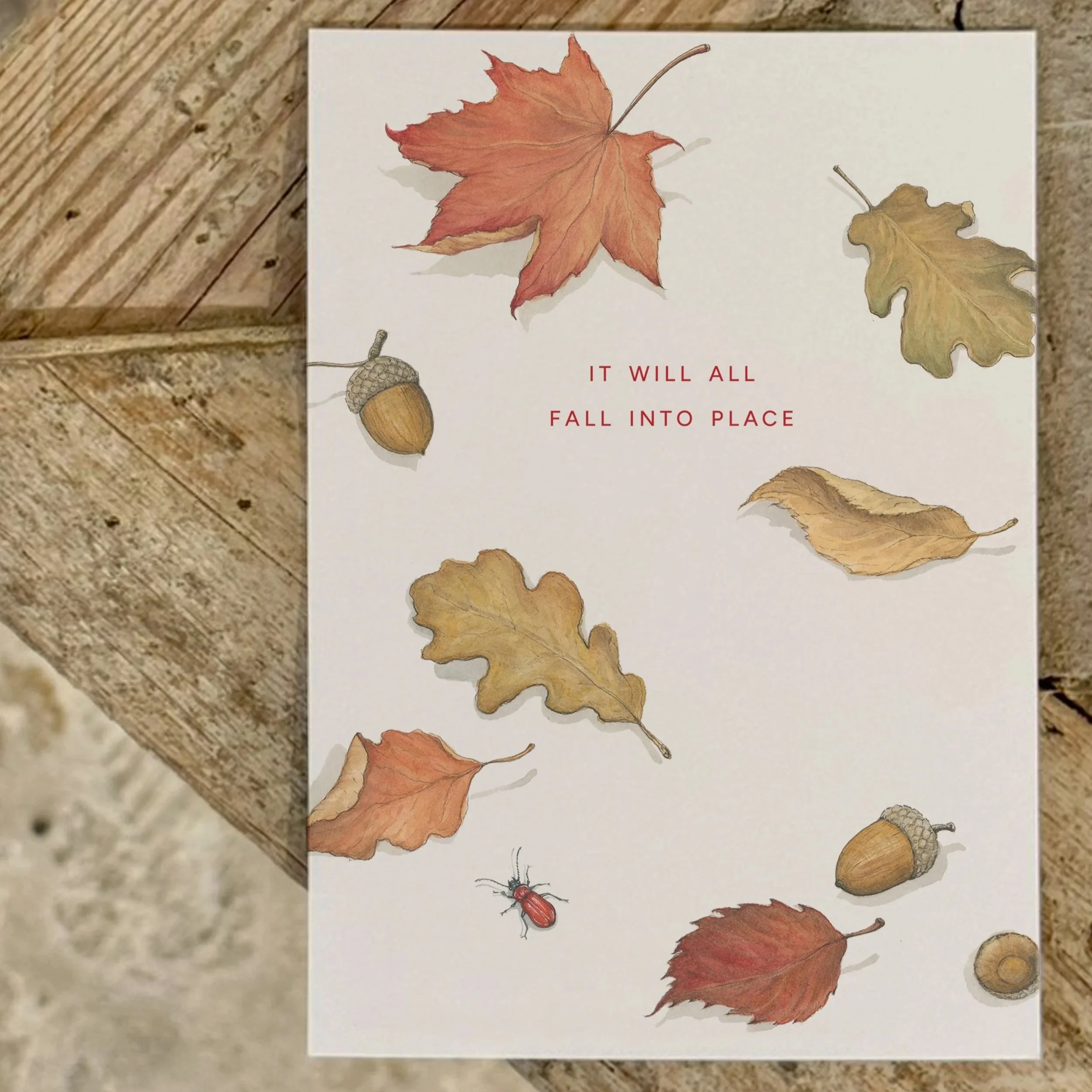 MTwebshop2026+-+ItWillAllFallIntoPlace-AutumnPHOTO.jpg