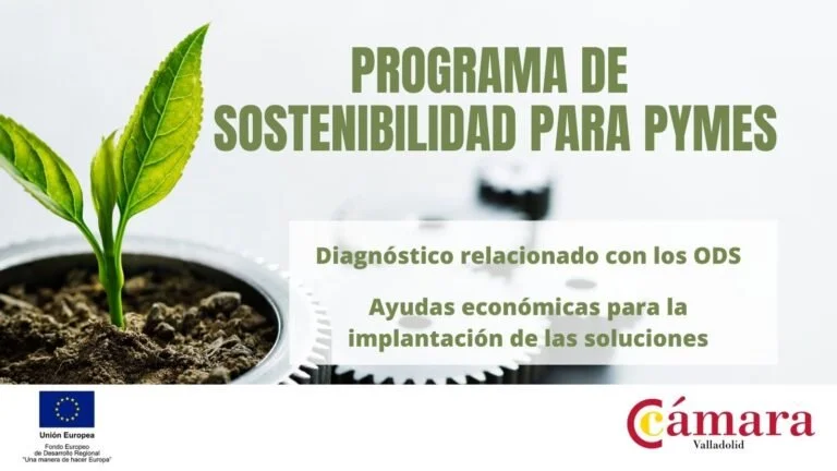 Programa de Sostenibilidad para PYMES. Solicitudes desde el 20 de enero hasta el 28 de febrero.