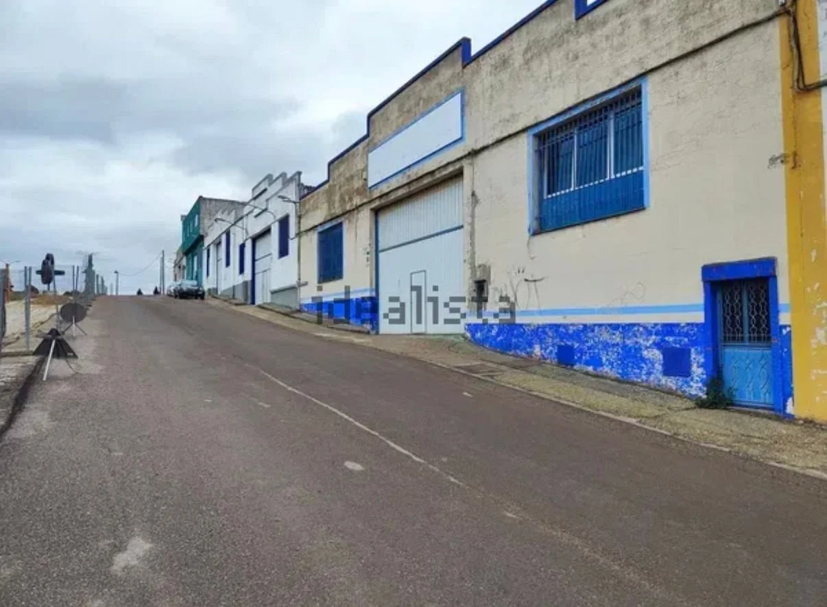 WhatsApp Image 2026-03-19 at 13.39.28 (2).jpeg