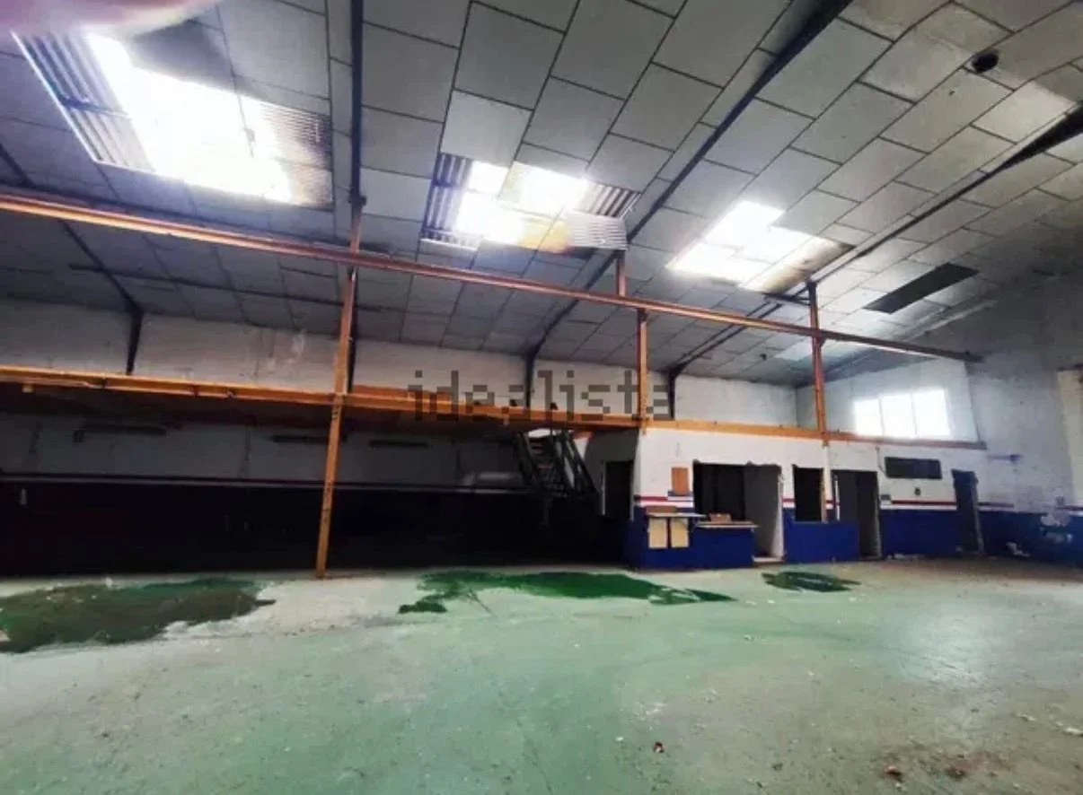 WhatsApp Image 2026-03-19 at 13.39.28.jpeg