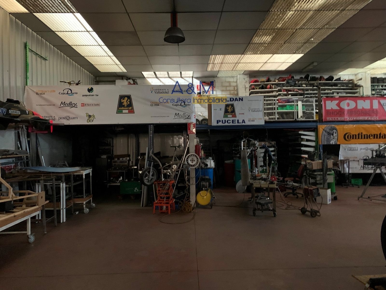 6515766.jpg