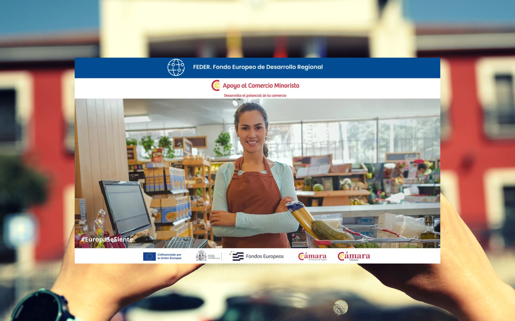PROGRAMA DE APOYO AL COMERCIO MINORISTA